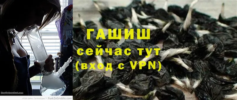 ГАШ Premium  Верхотурье 